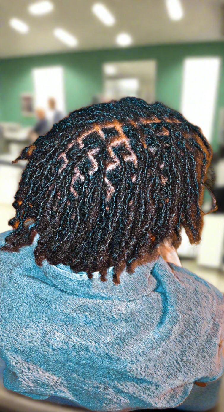 Starter Locs