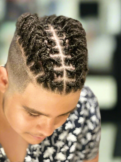 Starter Locs