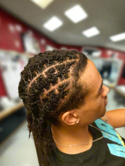 Starter Locs