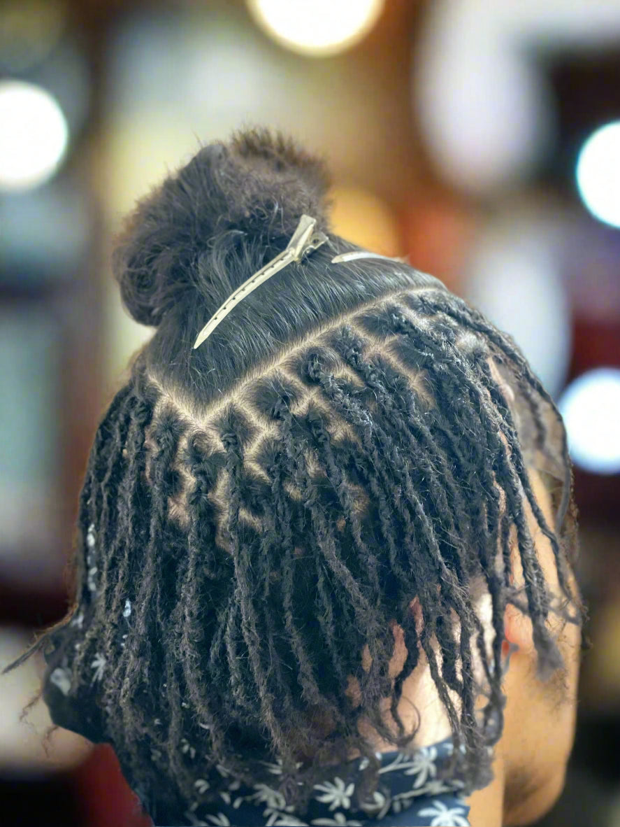 Starter Locs