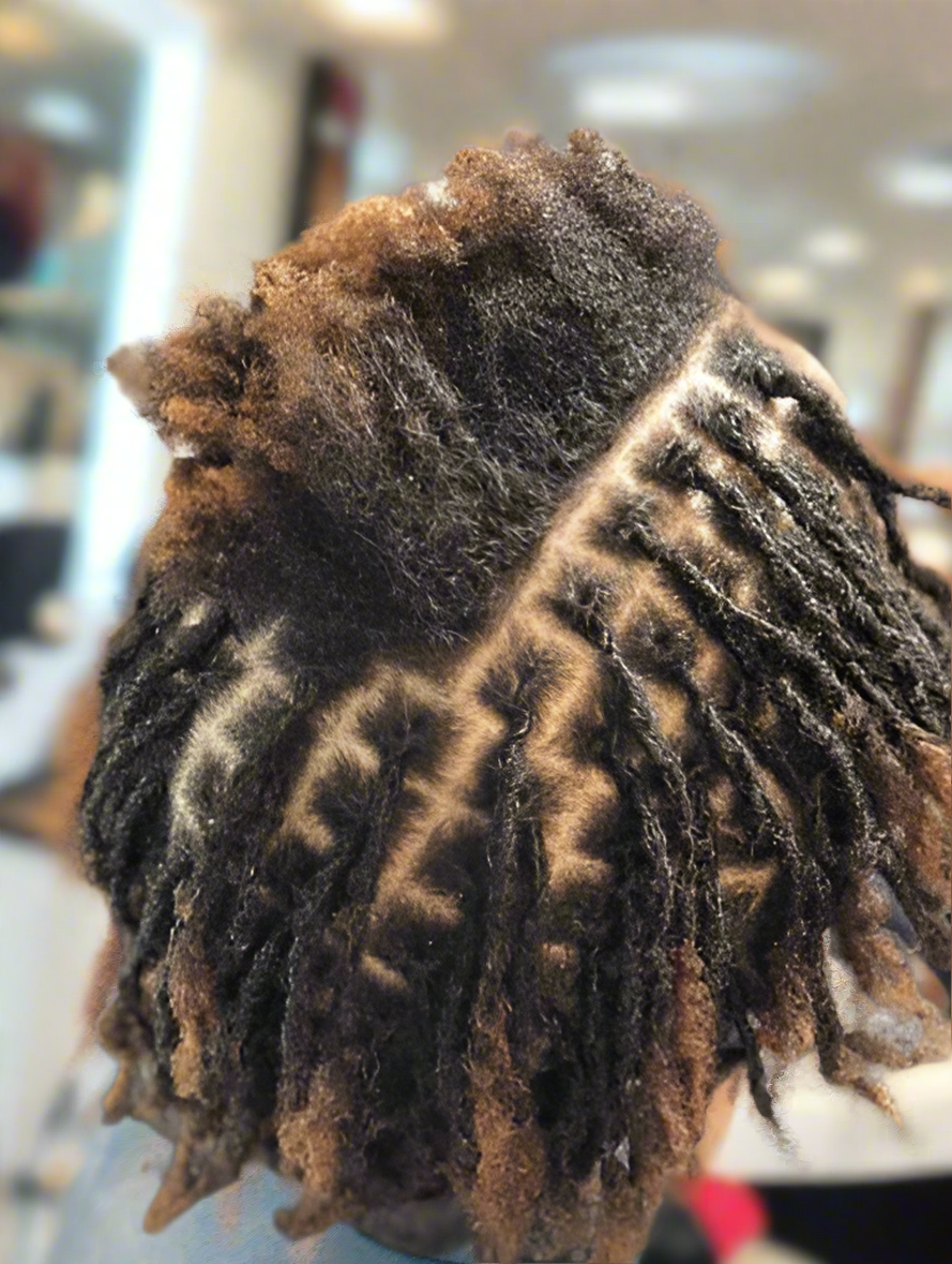 Starter Locs